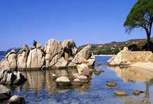 东平未命名